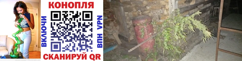 Где купить Павловск гидра ССЫЛКА Метадон Мефедрон Канабис