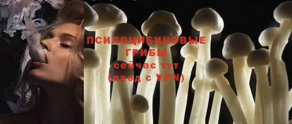 MESCALINE Арсеньев