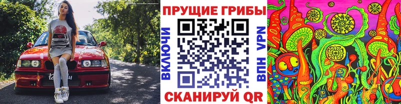 Псилоцибиновые грибы Magic Shrooms  Павловск 